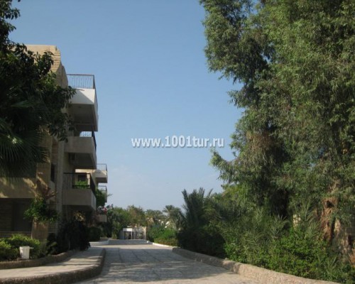 Отель Hor Palace 3* в Хургаде