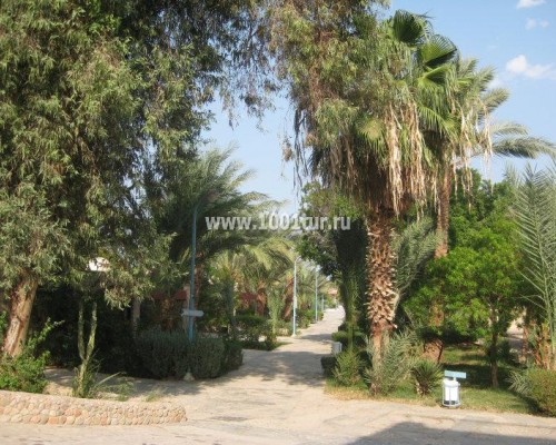 Отель Hor Palace 3* в Хургаде