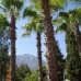 Majesty Club Kemer Beach: семейный отдых в Кемере
