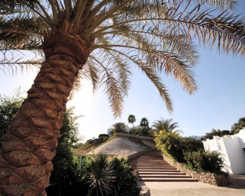 Domina Coral Bay Oasis 5* — Шарм-эль-Шейх, Египет