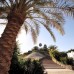 Domina Coral Bay Oasis 5* — Шарм-эль-Шейх, Египет
