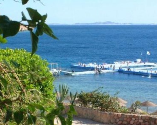 Domina Coral Bay Oasis 5* — Шарм-эль-Шейх, Египет