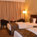 Rush Inn 2*