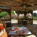 Domina Coral Bay Prestige 5* (Шарм-эль-Шейх): подробный разбор