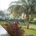 Coral Boutique 5*