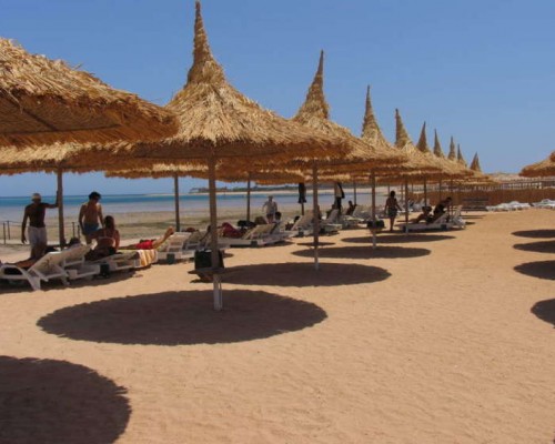 Amazonia Gardenia Hotel 3* — Шарм-эль-Шейх, Шаркс-бей