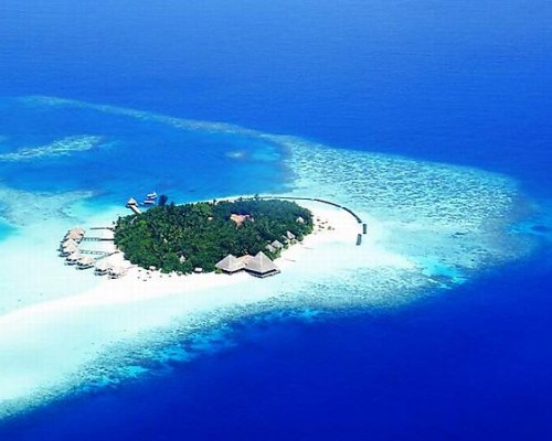 Gangehi Club 5* — Ари Атолл, Мальдивы