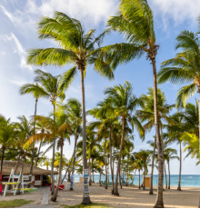 Playabachata Resort 5*