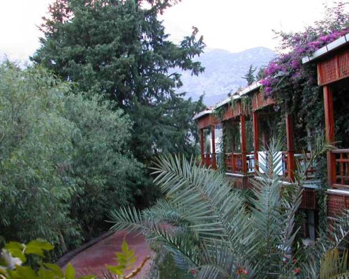 Club Hotel Siesta Garden 3* в Кемере: честный разбор от турагента