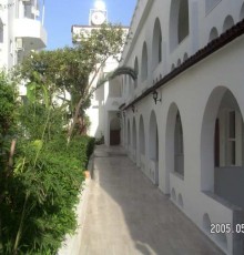 California Dream Hotel 3*