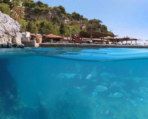 Pine Bay Holiday Resort 5* в Кушадасы: что важно знать перед бронированием