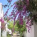 Halici Holiday Village HV2 4* в Мармарисе: взгляд турагента