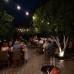 DG Hotels Rose Resort 4* в Кемере: честный обзор от турагента