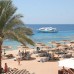 Continental Garden Reef Resort 5* — Шарм-эль-Шейх, Египет