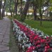 Beach Club Pinara 4* в Кемере: честный обзор от турагента