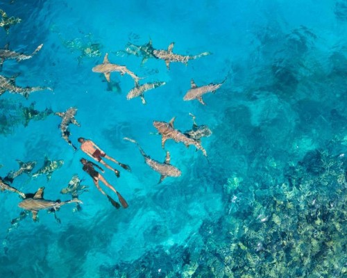 Anantara Veli Maldives 5* — Южный Мале, Мальдивы