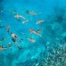 Anantara Veli Maldives 5* — Южный Мале, Мальдивы