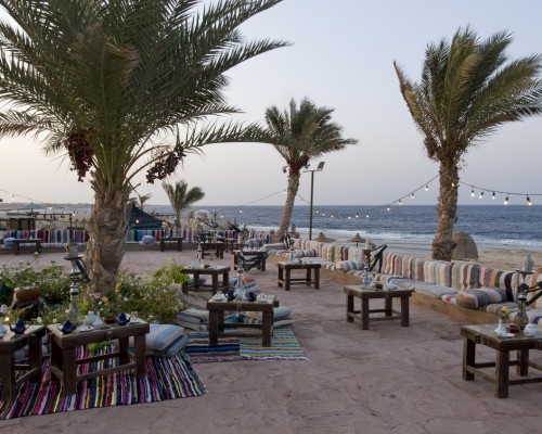 Dreams Beach Resort 5* в Марса Аламе: что важно знать перед бронированием