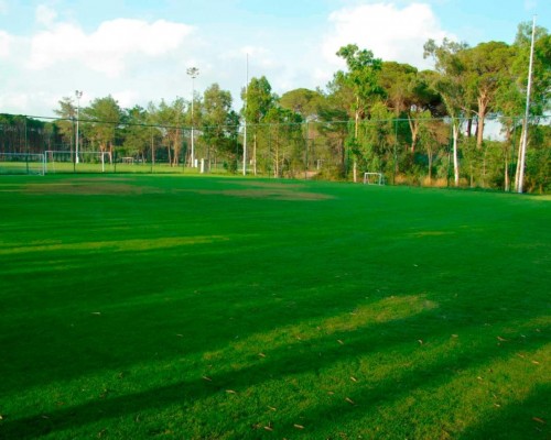 Sueno Hotels Golf Belek 5* в Белеке: экспертный обзор для подбора тура