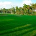 Sueno Hotels Golf Belek 5* в Белеке: экспертный обзор для подбора тура
