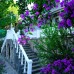 Senza Garden Holiday Club 5* в Конаклы: честный обзор турагента