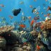 Thang Long Nha Trang Hotel 3* — Нячанг