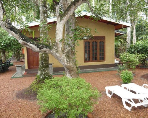 Bentota Village 3* — пляжный отель на первой линии в Бентоте