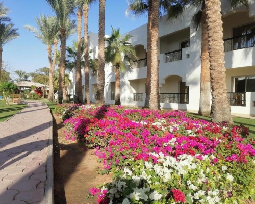 Xperience St George Homestay 4* в Шарм-эль-Шейхе