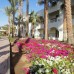 Xperience St George Homestay 4* в Шарм-эль-Шейхе