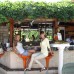 Alerya Hotel 3* в Кемере — подбор тура