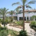 Amarante Garden Palms 4* — отель в Шарм-эль-Шейхе