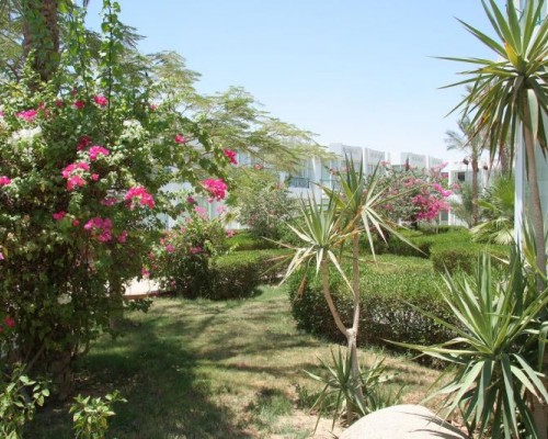 Amarante Garden Palms 4* — отель в Шарм-эль-Шейхе