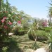 Amarante Garden Palms 4* — отель в Шарм-эль-Шейхе