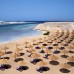 Oriental Bay Marsa Allam Resort 4* — Марса Алам, Египет