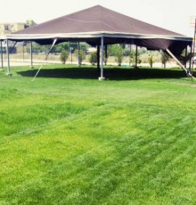 Therese Apart Otel & Kids Camp 