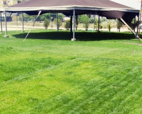 Therese Apart Otel & Kids Camp в Сиде: честный обзор апарт-отеля
