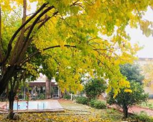 Mursel Pension Garden Hotel в Кушадасы: что это за отель