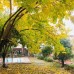 Mursel Pension Garden Hotel в Кушадасы: что это за отель