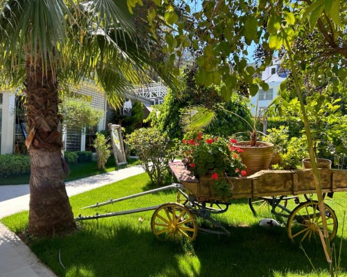 Marina Boutique Hotel в Фетхие: честный разбор отеля