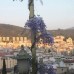 Anzac Golden Bed Pension — отель 1* в Кушадасы