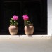 Villa Rhapsody Pension в Фетхие: семейный пансион с садом