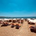 Sun Flower Apart Hotel, Сиде: честный обзор от турагента Галины