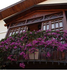 Villa Daffodil Hotel Villa Daffodil Hotel