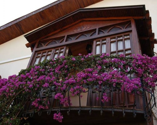 Villa Daffodil Hotel, Фетхие — честный обзор