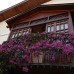 Villa Daffodil Hotel, Фетхие — честный обзор