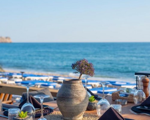 Royalisa Palmiye Beach Hotel 3* в Аланье: взгляд турагента