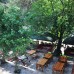 Turkmen Tree Houses, Кемер — подбор тура с турагентом