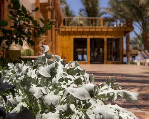 Acacia Dahab 3* — отель в Дахабе на первой линии