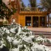 Acacia Dahab 3* — отель в Дахабе на первой линии