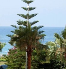 Livane Beach Hotel